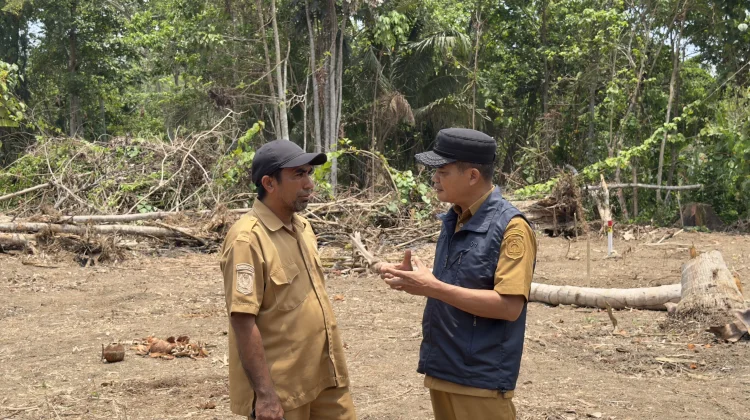 Rumah O’Hongana Manyawa Dibangun di Kawasan Hutan, Kadishut Pastikan Kantongi PPKH