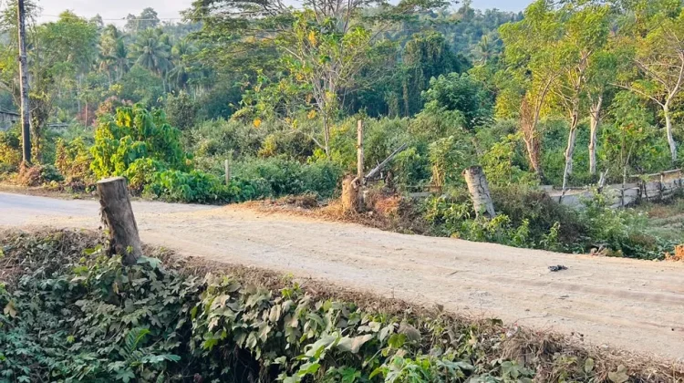 Belum Ada Progres Pekerjaan, Jembatan Ambruk di Waikalopa Masih Menunggu Anggaran