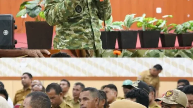 Dandim Morotai Dorong KDKMP Jadi Penggerak Ekonomi Desa