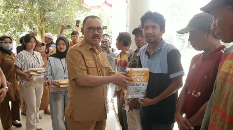 Halbar Salurkan Bibit Jagung Kementan untuk 1.400 Hektare Lahan