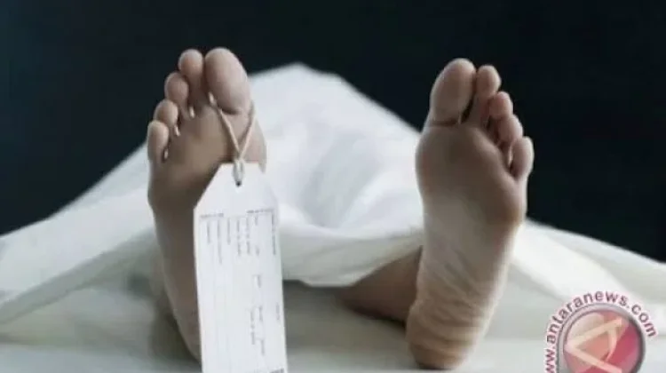 Misteri Dibalik Kematian Penambang Ilegal di Halmahera Selatan