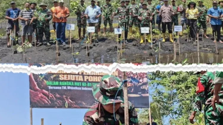 Kodim Tobelo dan Warga Tanam Bakau di Pantai Wauo Halmahera Utara