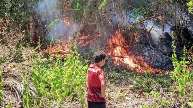 Karhutla di Kota Ternate Capai 79 Kejadian, Warga Diminta Waspada