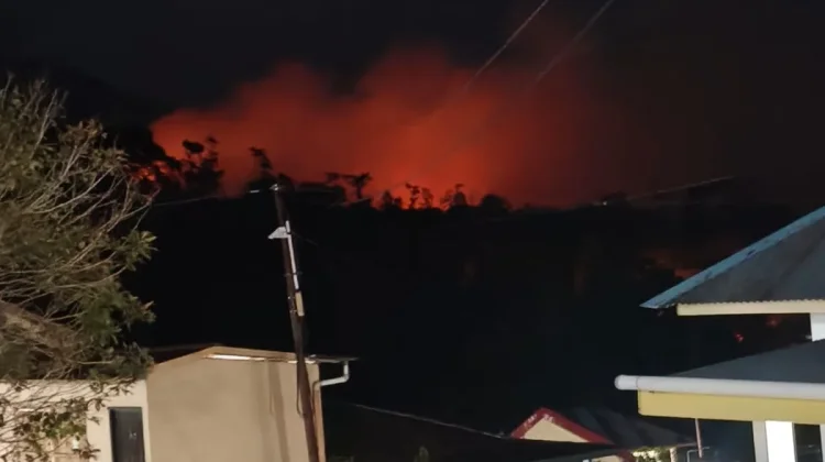 Petugas Padamkan Lima Titik Kebakaran Lahan di Tidore dalam Empat Hari