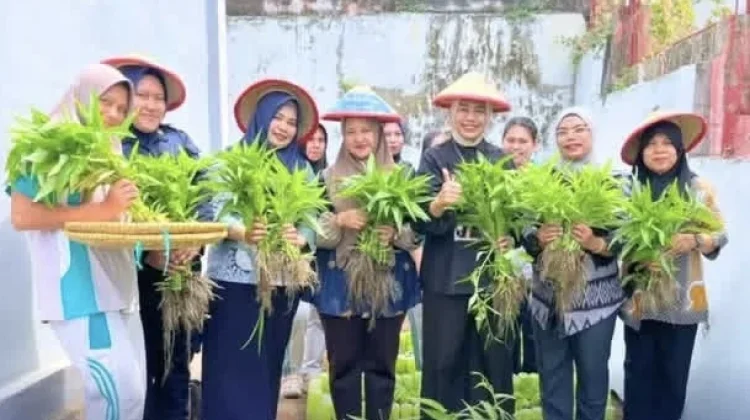 Lapas Perempuan Ternate Panen Kangkung dan Pare Produktif
