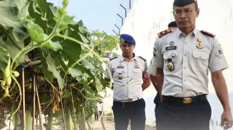 Rutan Soasiu Optimalkan Lahan untuk Ketahanan Pangan