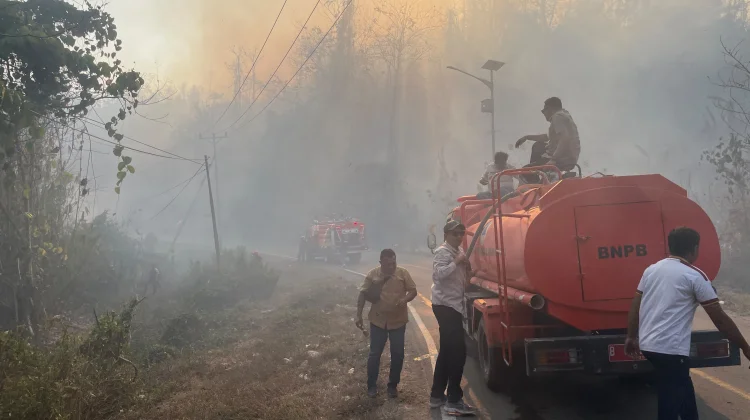 Karhutla di Kayasa-Gusale Meluas, BPBD Malut Terjunkan Tim Reaksi Cepat