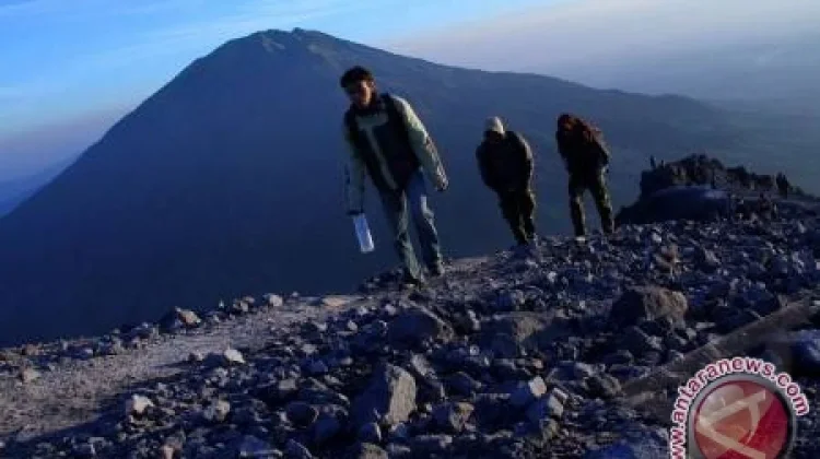 Jalur Pendakian Terbakar, Empat Pendaki Dilaporkan Terjebak di Gunung Gamalama