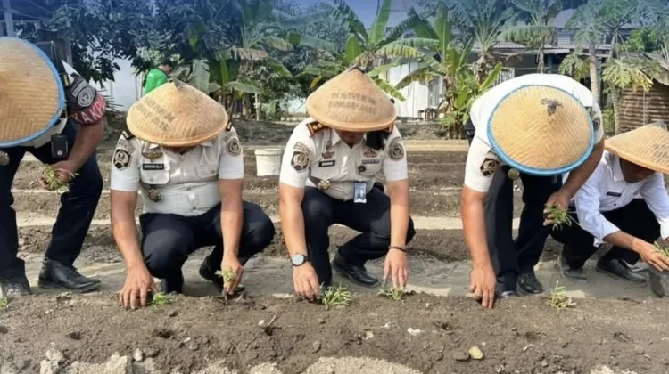 Lapas Tobelo Tanam Kangkung Dukung Ketahanan Pangan