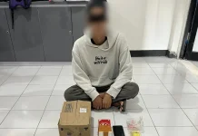 Polda Malut Gagalkan Peredaran Ganja di Halmahera Tengah
