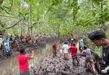 Sempat Hilang, Korban Diterkam Buaya Ditemukan Meninggal