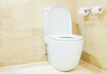 Lebih Sehat mana? Toilet Duduk atau Toilet Jongkok ?