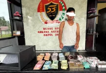 Aksi Pencurian Berantai di Kota Maba Berakhir di Tangan Polisi