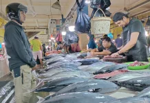 Inflasi Malut Tembus 5,85 Persen, Ikan Jadi Pemicu