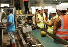Hilirisasi Jadi Solusi Stabilkan Harga Kelapa di Maluku Utara