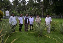 Kadikbud Malut Tinjau Program Pangan SMK-Halut yang Mulai Berbuah