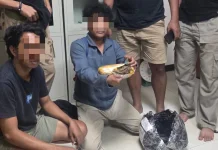 Ditresnarkoba Polda Malut Gagalkan Peredaran Ganja di Halteng