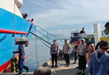 Polres Halsel Amankan Kedatangan Kapal di Pelabuhan Kupal