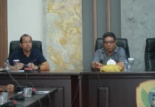 Tidore Buka Investasi Glamping, Bobo Cabin Bidik Selawaring