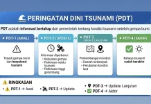 Memahami Peringatan Dini Tsunami: Tahapan dan Maknanya