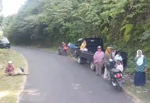Panik Air Surut, Warga Desa Saria Mengungsi Mandiri di Ketinggian