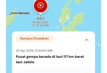 BMKG Catat 246 Gempa Kecil hingga Besar Guncang Maluku Utara