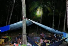 Update, BMKG Catat 345 Kali Gempa Bumi Susulan di Maluku Utara