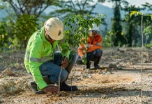 NHM Pulihkan 232 Hektare Lahan Bekas Tambang