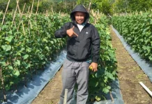 Program TEKAD Kemendes, Dorong Petani Konsumtif ke Produktif