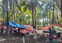 Gempa Bumi Guncang Batang Dua, Getaran Cukup Dirasakan Warga