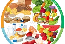 Mengenal Istilah 'Makanan Padat Nutrisi' pada Anak