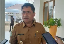 WFH Jumat ASN Haltim Dibatasi, Layanan Publik Tetap Normal