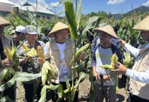 Program SMK Menanam Dikbud Maluku Utara Mulai Membuahkan Hasil
