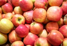Manfaat Buah Apel bagi Kesehatan Anak