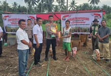 Swasembada Pangan, Polsek Ibu Tanam 3 Jagung Seluas 3 Hektare