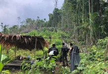 Pelaku Pembunuhan di Patani Terus Diburu Tim Khusus Polda