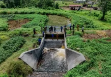 Bupati Halteng gerak cepat pulihkan irigasi terdampak kekeringan