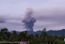 Gunung Dukono Erupsi, Abu Vulkanik Capai 3.000 Meter