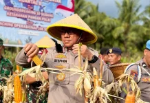Wakapolda Maluku Utara Hadiri Panen Raya Jagung Serentak