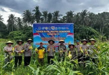 Kapolres Pimpin Panen Raya Jagung di Halmahera Tengah