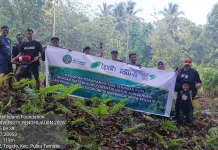 Upaya Pelestarian Lingkungan, SSI Ambil Peran Melakukan Penanaman