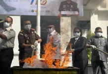2,32 Kilo Ganja dan Barbuk Putusan Pengadilan Dimusnahkan Kejari Ternate
