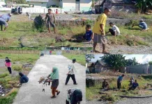 Puskesmas Kecamatan Sulabesi Barat Gelar Bakti Cegah DBD