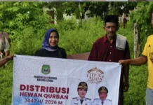 Wabup Halut Bersyukur atas Bantuan Hewan Kurban dari Gubernur