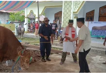 Bantuan Kurban Presiden Tiba di Tidore, Disalurkan ke Masjid Nurul Iman Rum