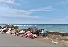 Kadis DLH Pastikan Tumpukan Sampah Dipasar Basanohi Diangkut Hari ini