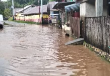 Genangan Air di Desa Mangon Direspon Kadis PURR Sula