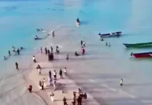 Muncul tengah Laut, Pasir Putih di Sula Ramai Dikunjungi Warga