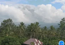 Erupsi Gunung Dukono Semburkan Abu Setinggi 1.200 Meter