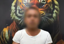Kabur ke Halsel, Pencuri Handphone di Saku Motor Diringkus